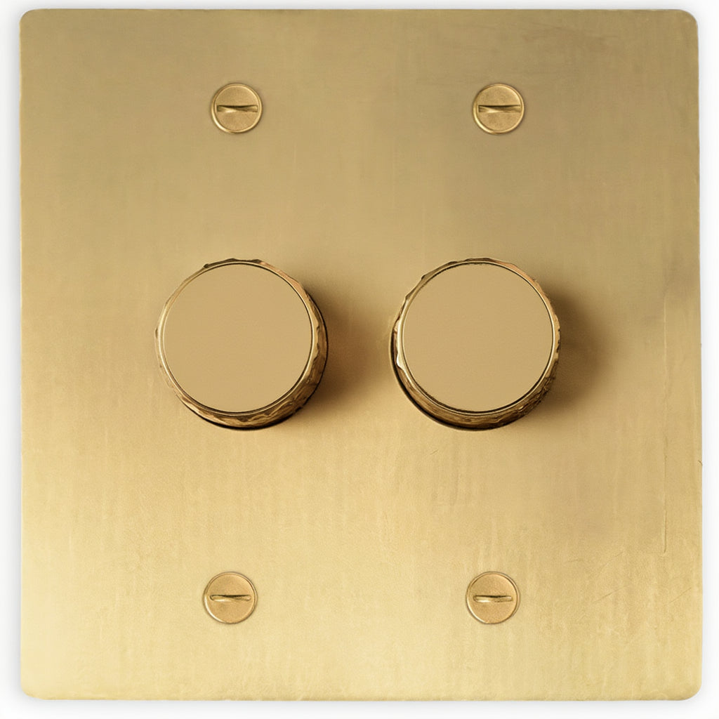 Atelier Dimmer Plate, Double