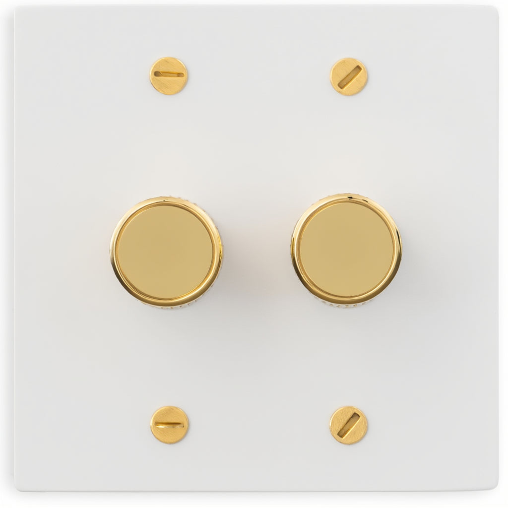 Atelier Dimmer Plate, Double